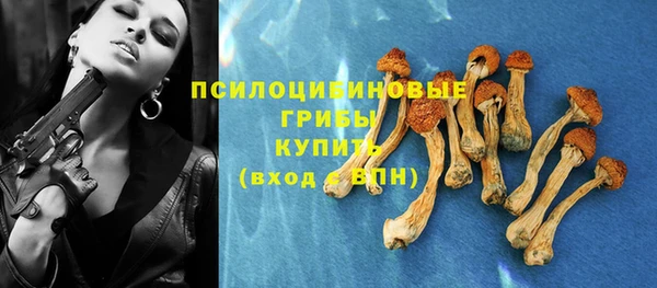 дживик Алексеевка