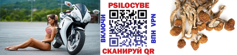 нарко площадка официальный сайт  Орёл  Галлюциногенные грибы Psilocybine cubensis 